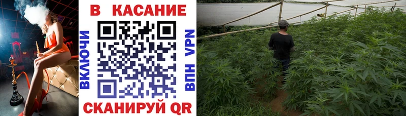 Магазины продажи наркотиков Славгород Псилоцибиновые грибы  Меф мяу мяу  Гашиш 