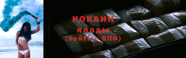 стаф Зеленокумск