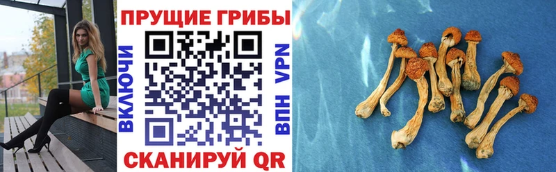 Галлюциногенные грибы мухоморы  закладка  Славгород 