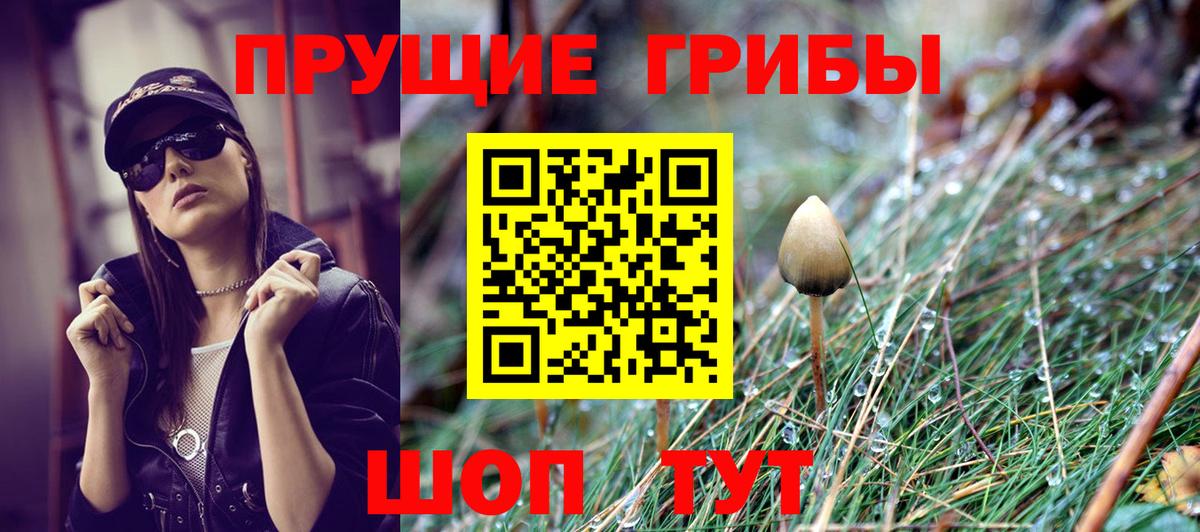 Псилоцибиновые грибы ЛСД  Вход с VPN  Галлюциногенные грибы мицелий  Славгород 
